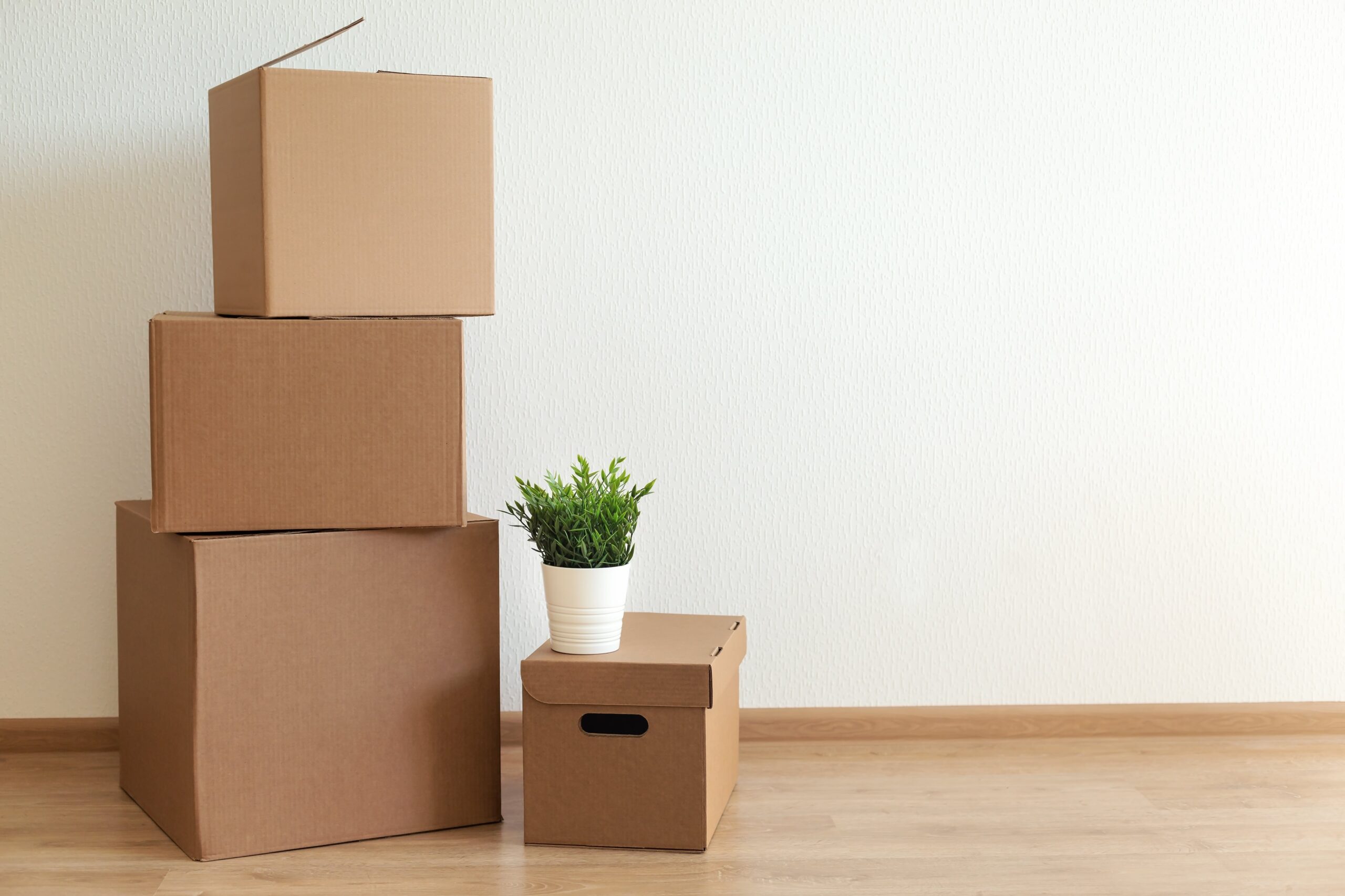 cardboard boxes stacked
